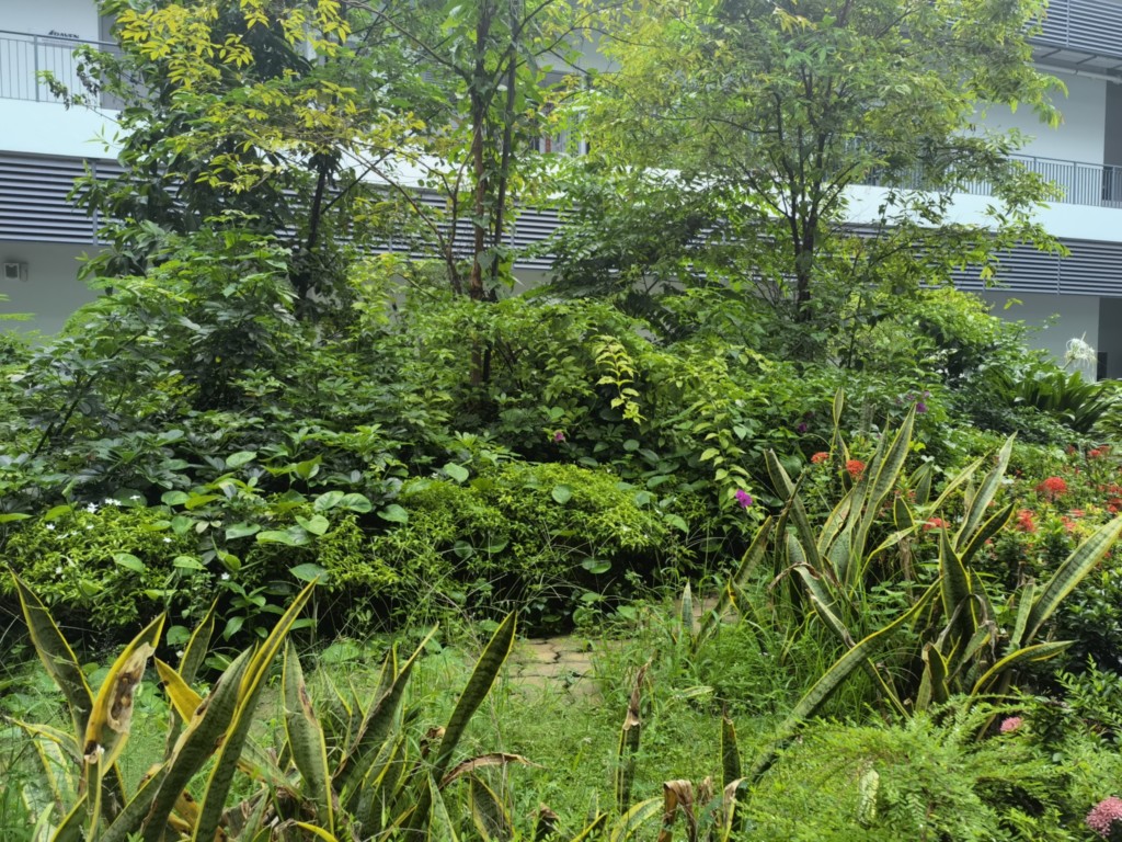 Huawei Mate 40 Pro: Camera Shot 2