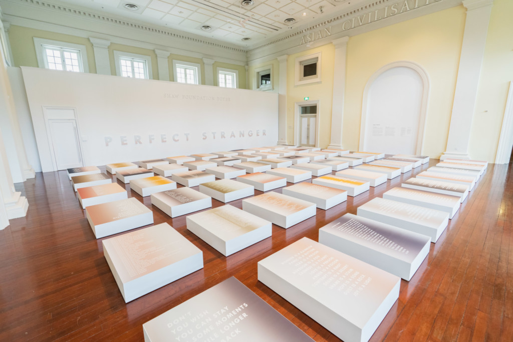 ACM: ‘Perfect Stranger’ exhibition