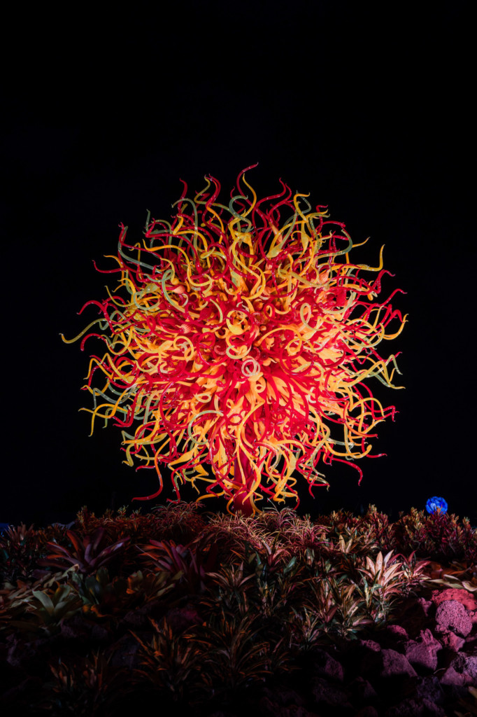 Dave Chihuly- Glass In Bloom: Setting Sun Display 2