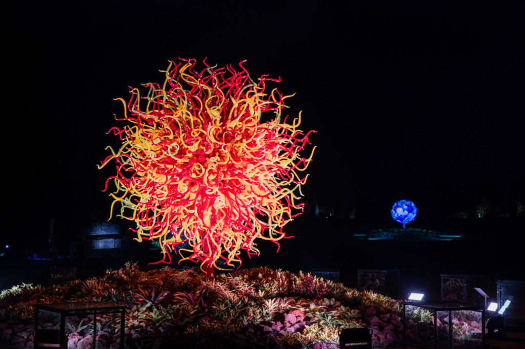 Dave Chihuly- Glass In Bloom: Setting Sun Display