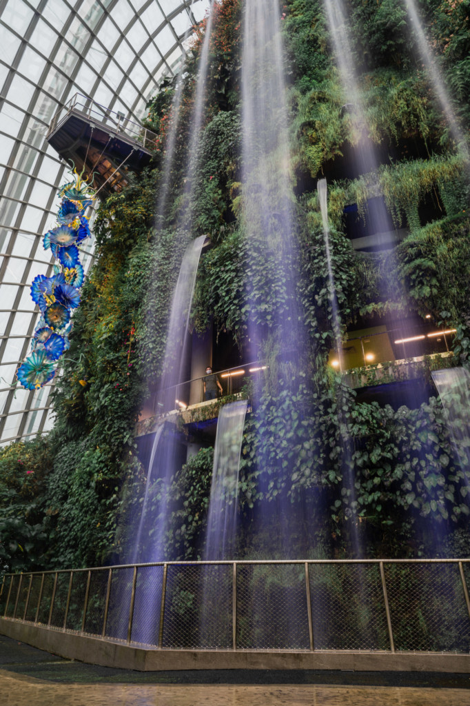 Dave Chihuly- Glass In Bloom: Waterfall