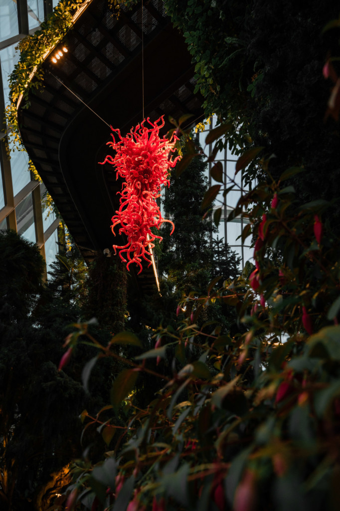 Dave Chihuly- Glass In Bloom: Cloud Forest