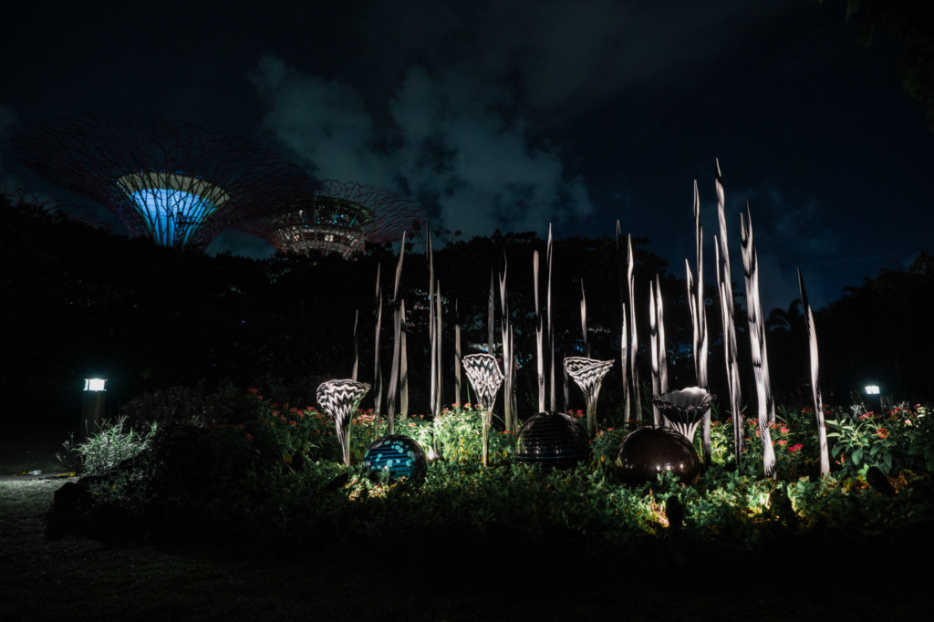 Dave Chihuly- Glass In Bloom: