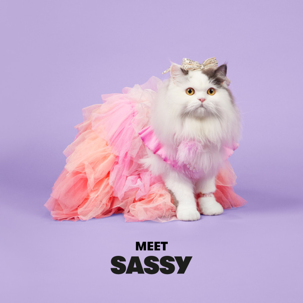 The Atome Kittens: Sessy