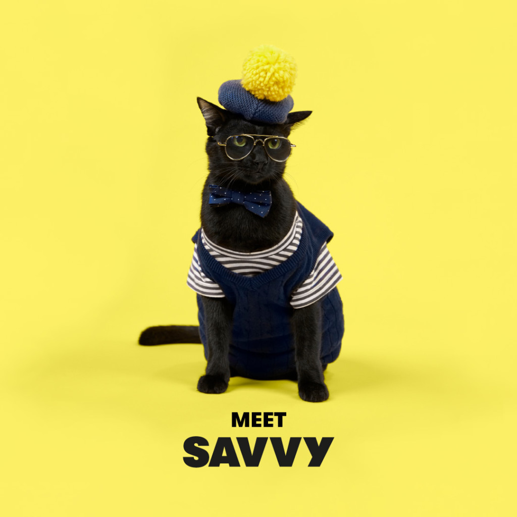 The Atome Kittens: Savvy