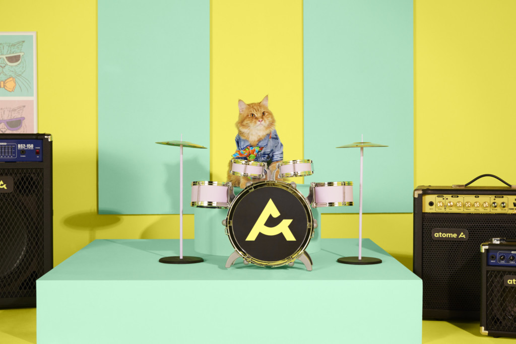 The Atome Kittens: Zesty Drums