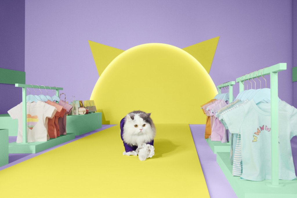 The Atome Kittens: Sassy Runway