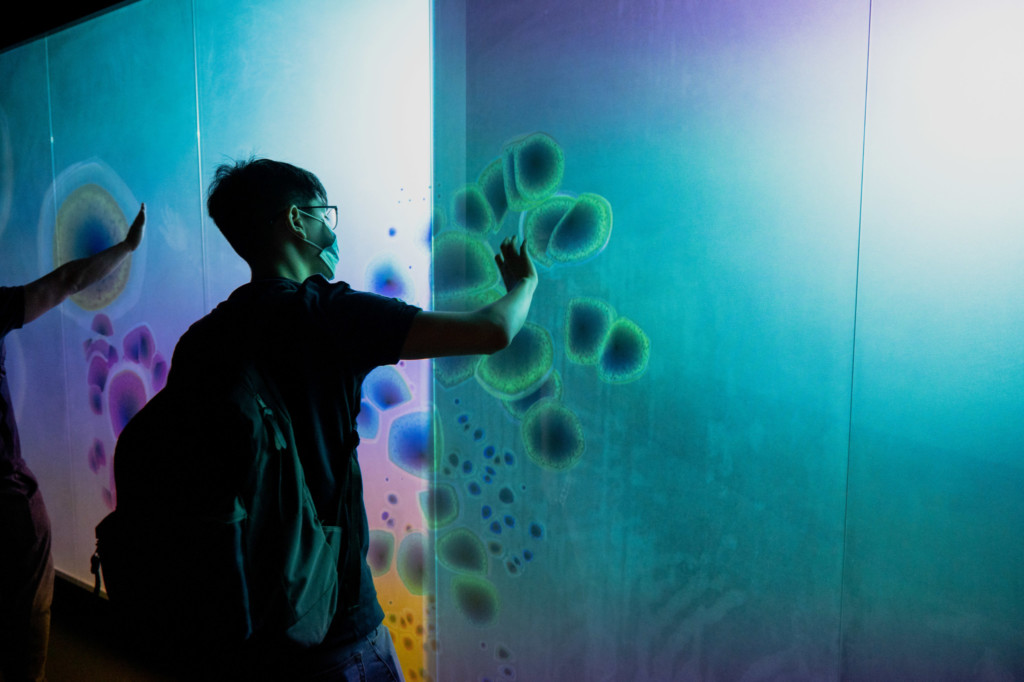 Virtual Realms: Videogames Transformed 'WALL'
