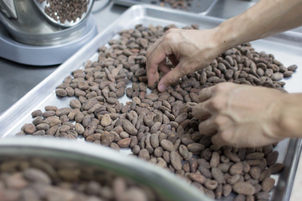 Fossa Chocolate: Bean Sorting