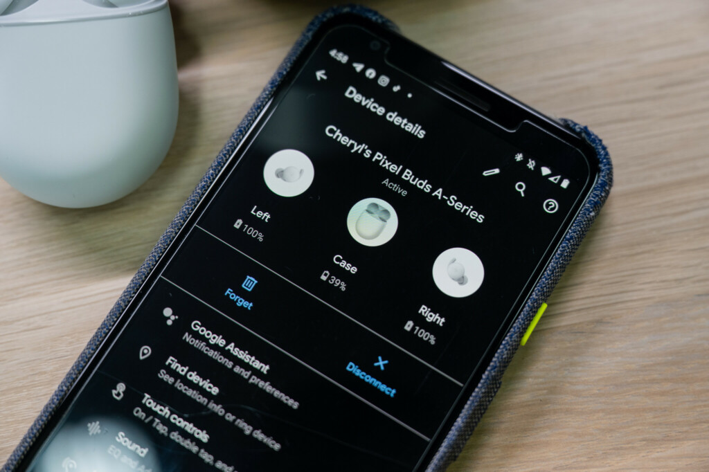 Google Pixel Buds A-Series: Pixel Buds App