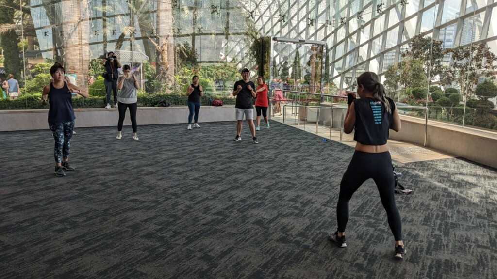 Wellness Festival Singapore: Kickboxing by AIBI