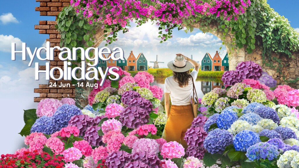 Try What Now July 2022: Hydrangea Holidays