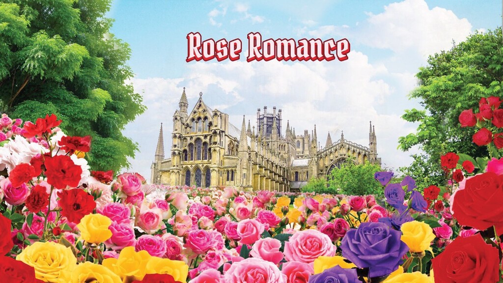 Things To Do June 2025: Rose Romance