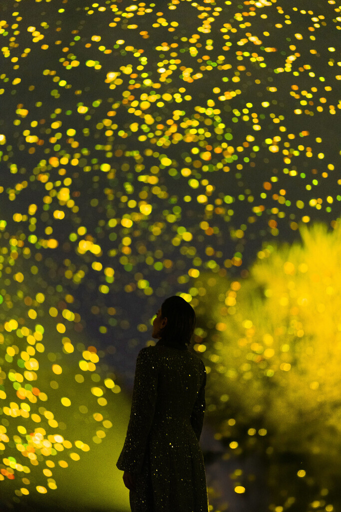Things to Do July 2025 SPARK by Daan Roosegaarde