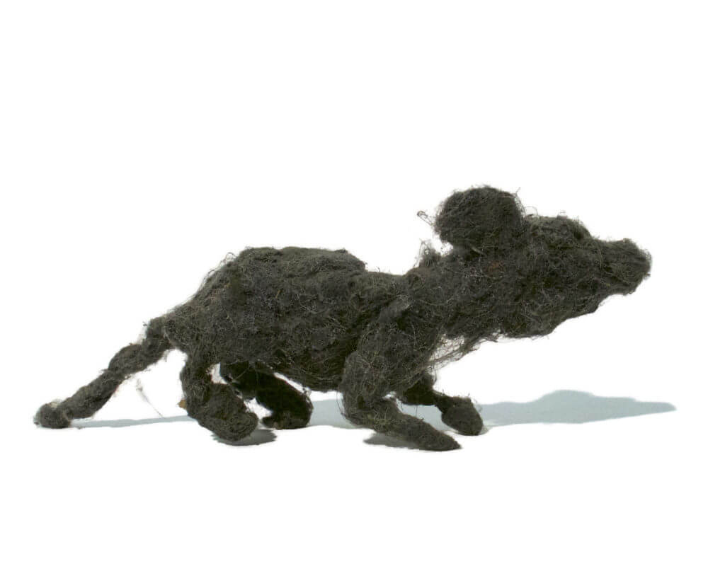Mind Over Matter: Rat St