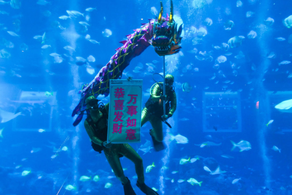 CNY Guide 2019: SEA Aquarium