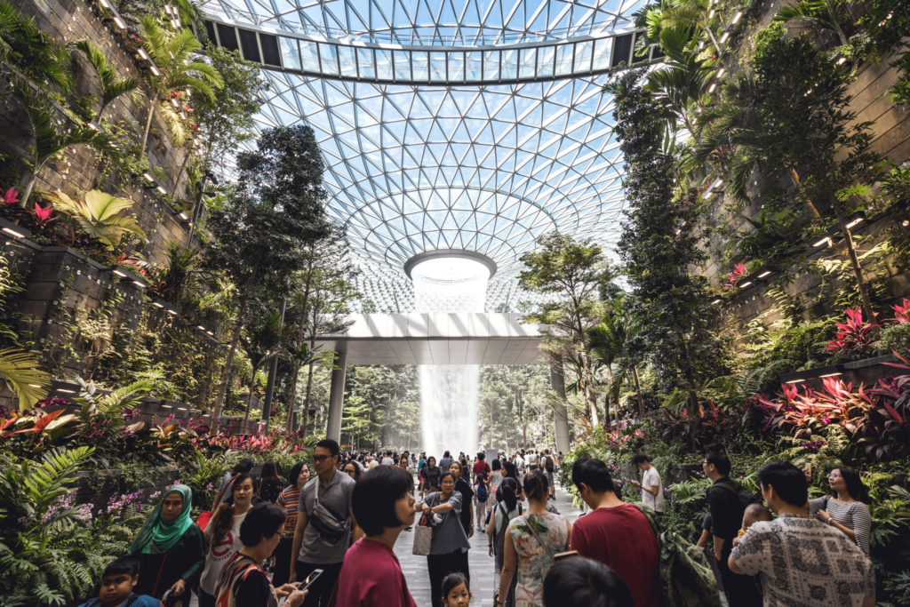 Jewel Changi: Forest Valley