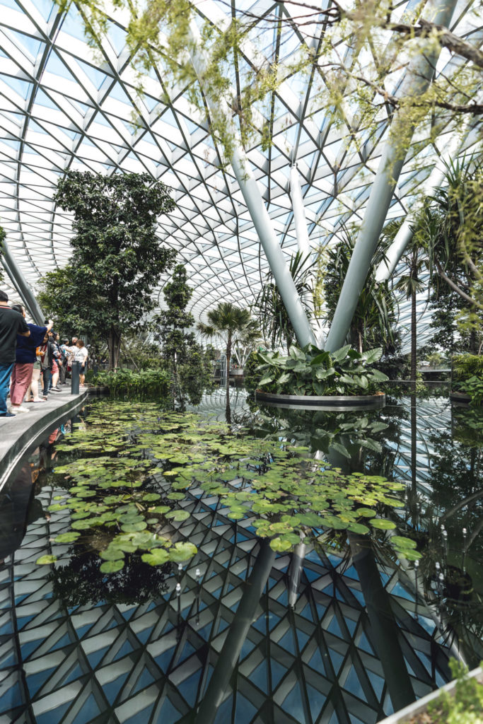 Jewel Changi - Immersion Garden