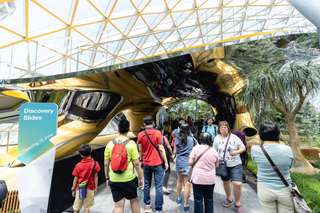 Canopy Park: Discovery Slides
