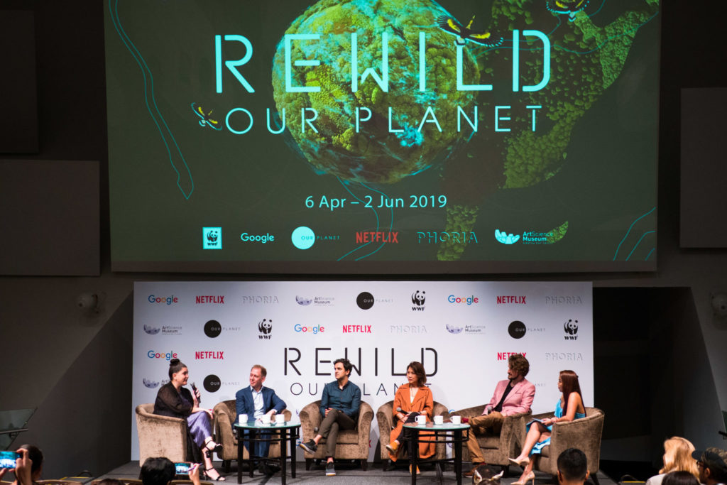 REWILD PIC1