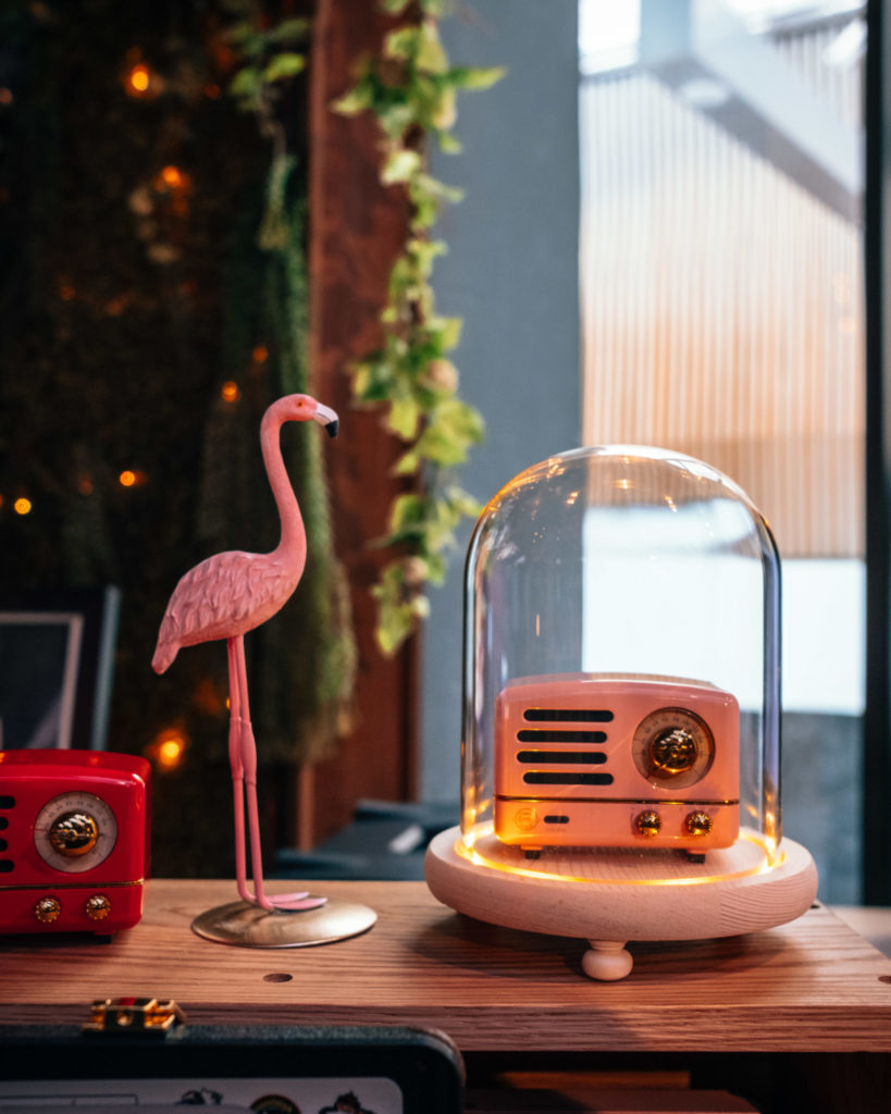 Muzen: Flamingo