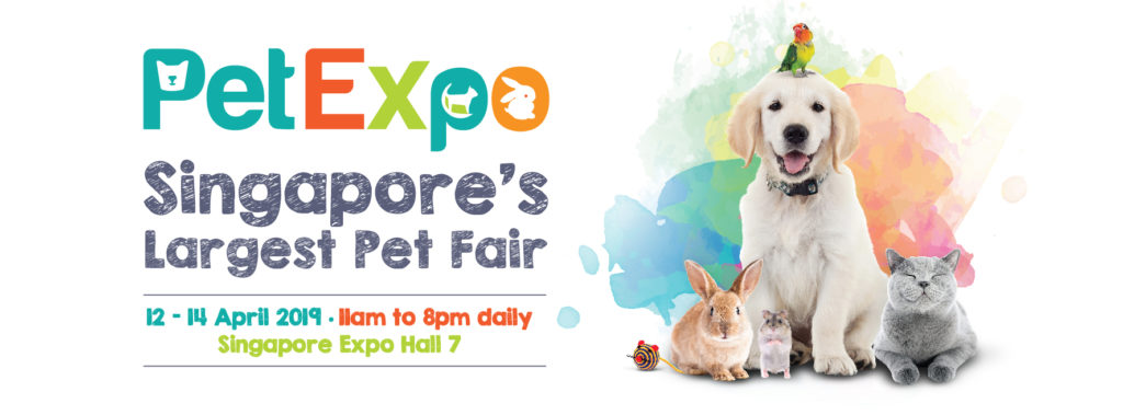 PetExpo 2019 - Feature Pic