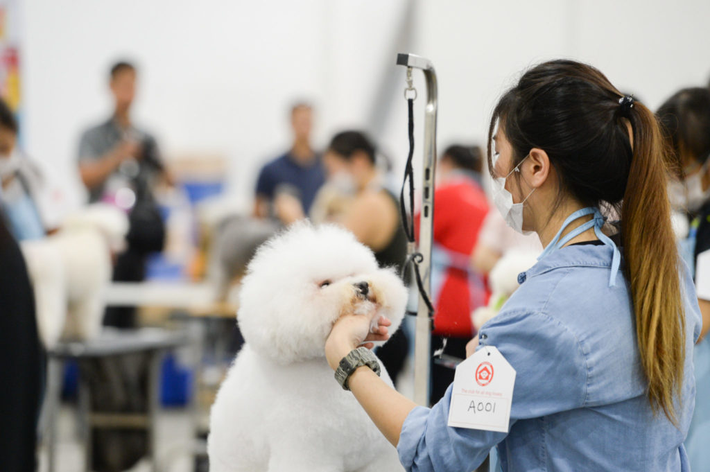 PetExpo 2019: Grooming