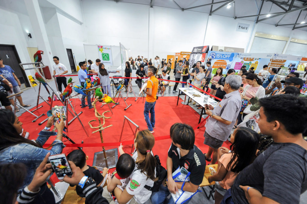 PetExpo 2019 - birds show