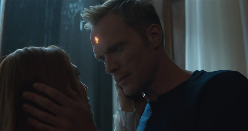 endgame - vision & wanda