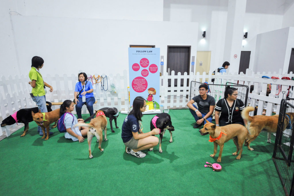 PetExpo 2019 - Adoption Drive 1