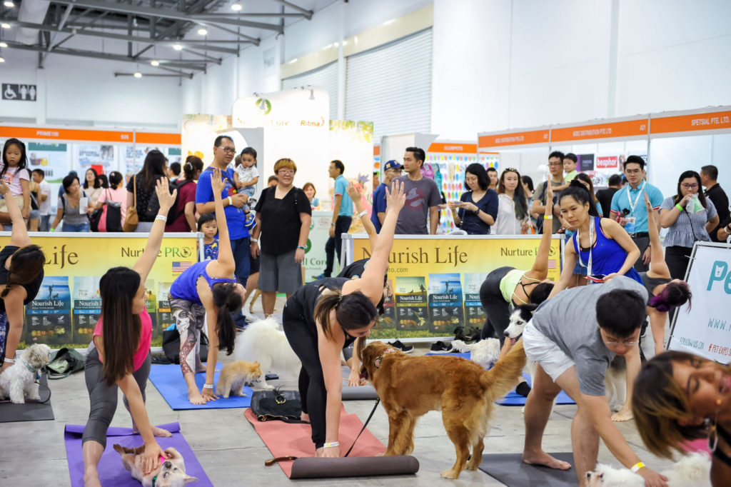 PetExpo 2019 - Workshops