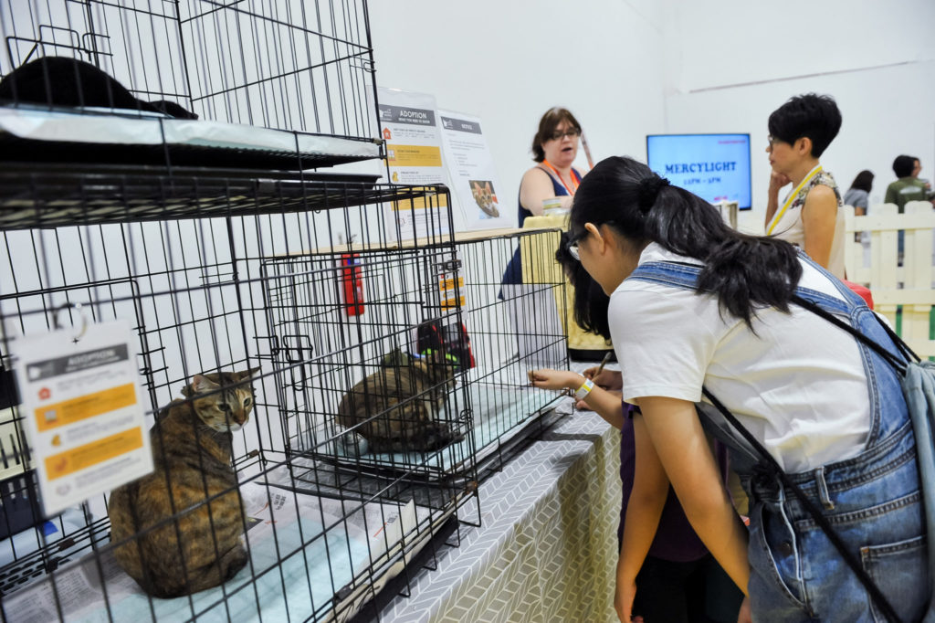PetExpo 2019 - Adoption Drive 2