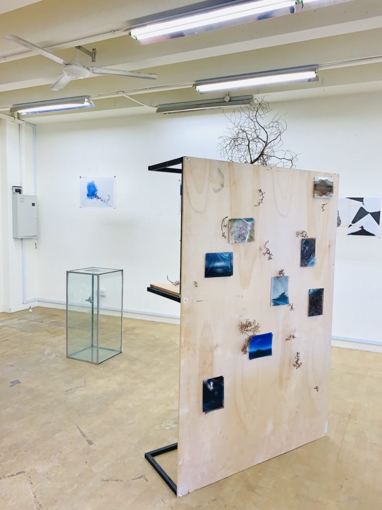 Haze Series Installation, back view