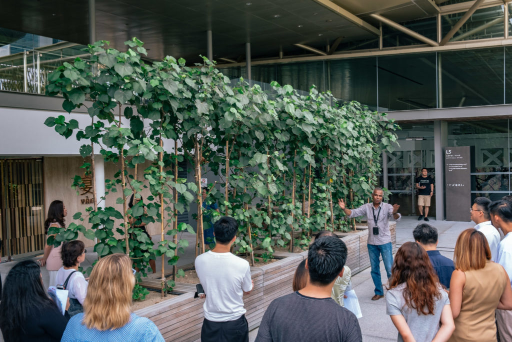 SEA State 9: Roof Garden