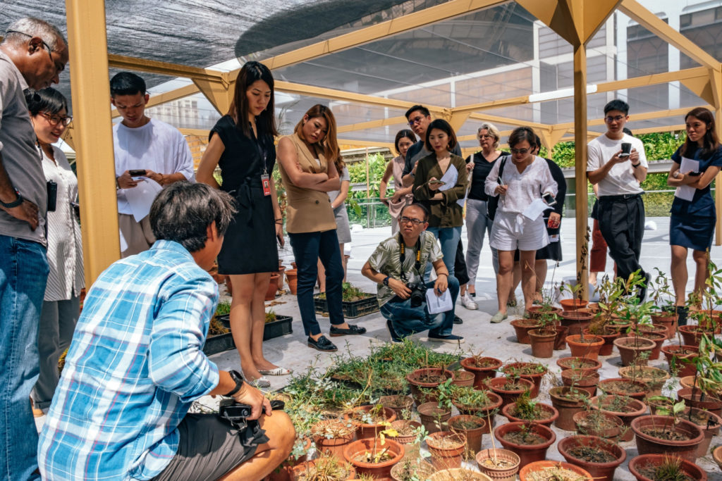 SEA State 9: Examining the plants