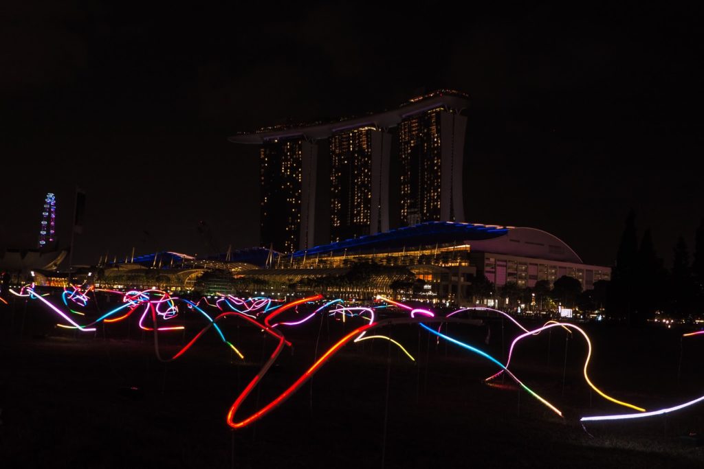 iLight 2019 - Squiggle