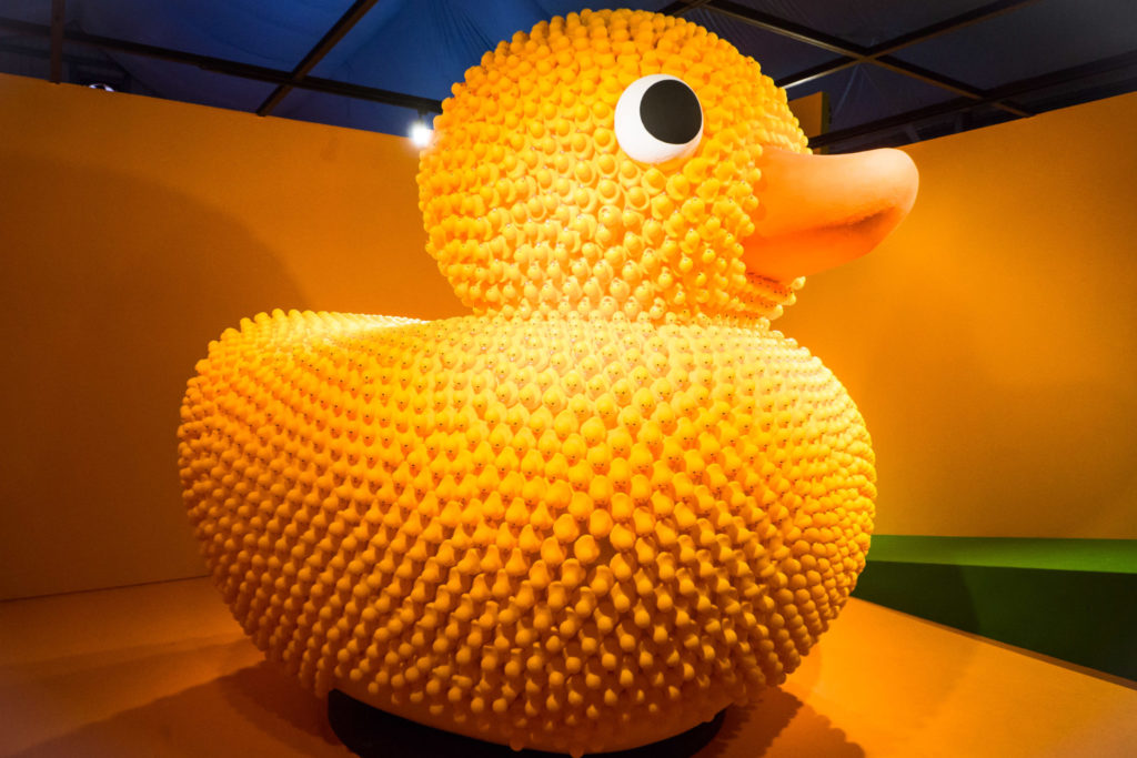 22 Stories - the ugly duckling