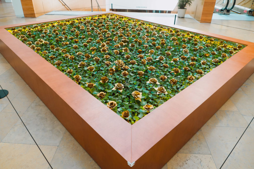 Awakenings Exhibition - Water Hyacinths With Gold Roses