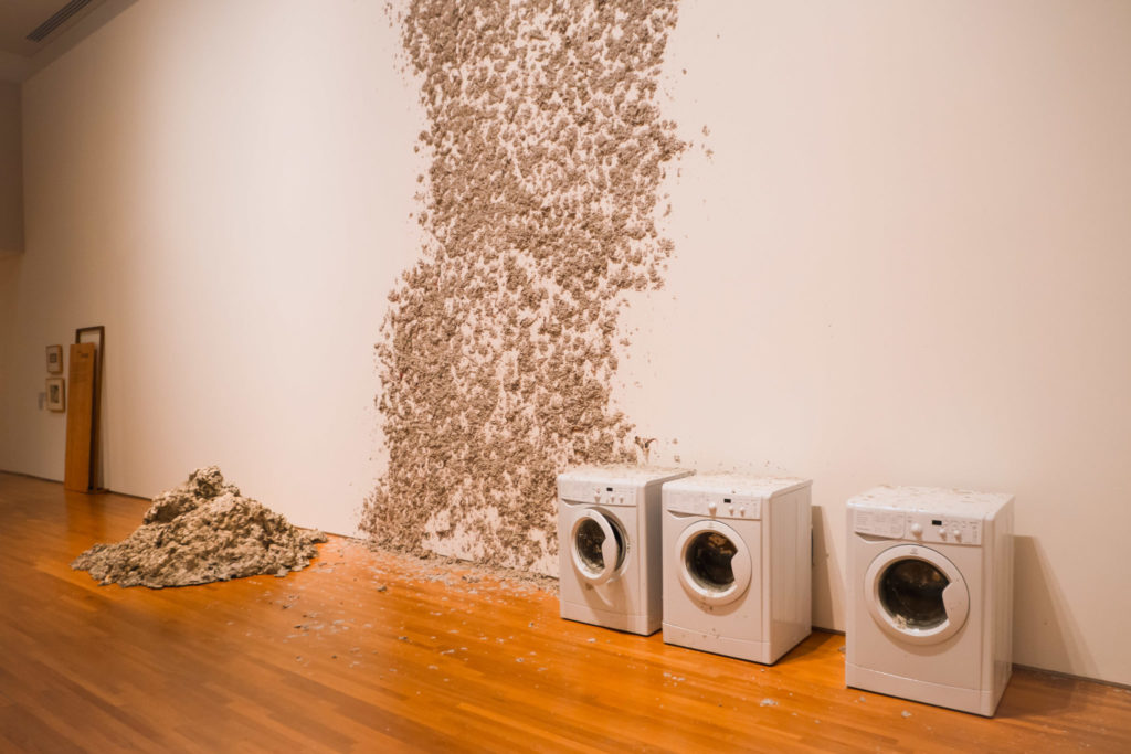 Awakenings Exhibition - Reptiles_3