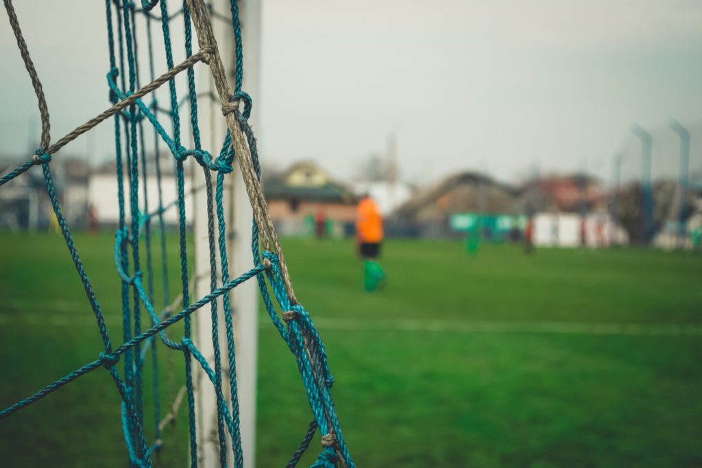 ICC 2019: Goalpost