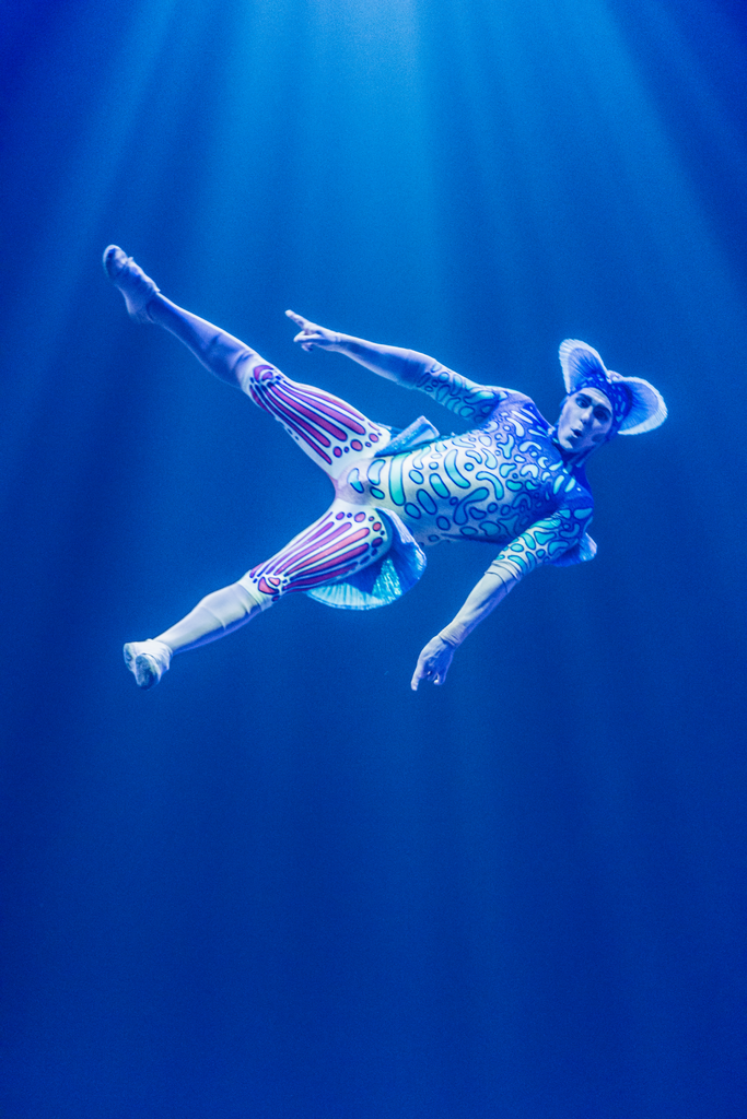 KURIOS - Acro Net