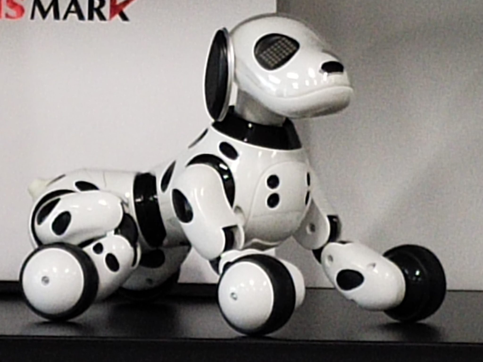A close view of a robot dog on the shelf at 10x zoom