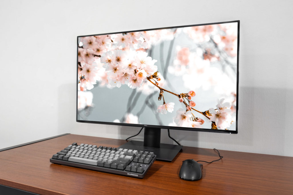 Dell Monitor Review 2