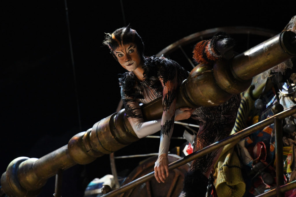 Cats the Musical: Junkyard