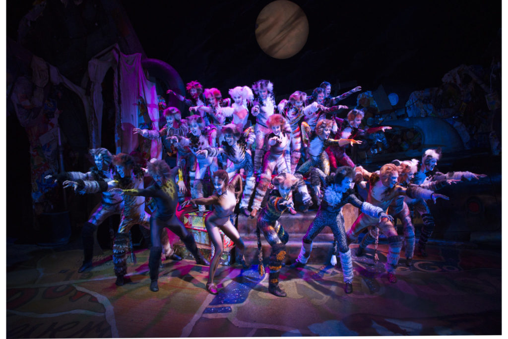 Cats the Musical: The Jellicle Tribe