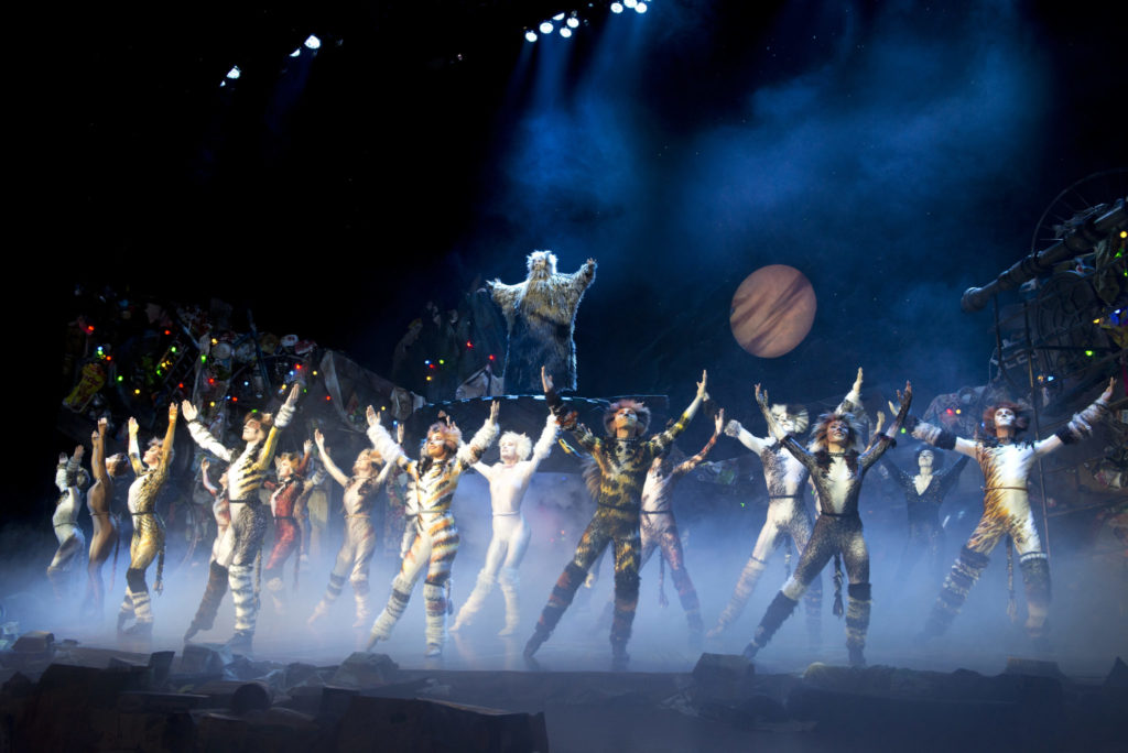 Cats the Musical: Cats