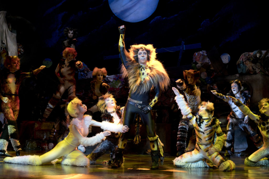 Cats the Musical: Rum Tum Tugger