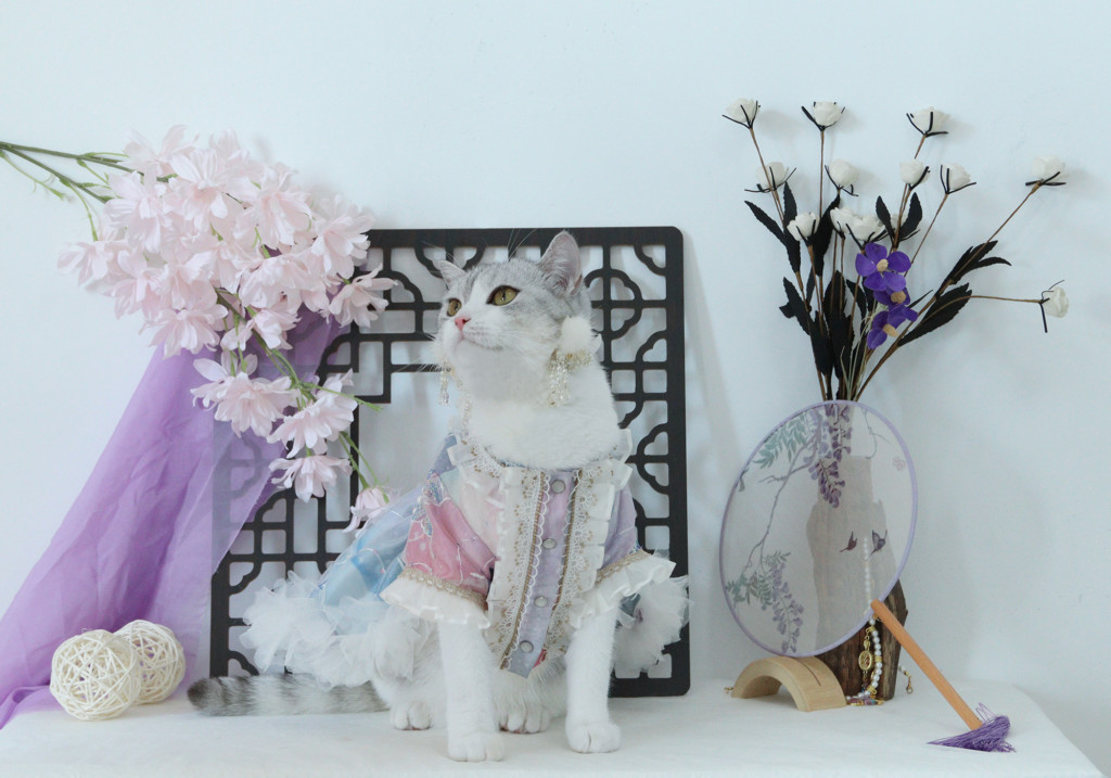 Taobao Maker Festival 2020: Chunfeng Daxiaoqiao