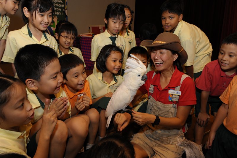 Jurong Bird Park: Bird Presntation