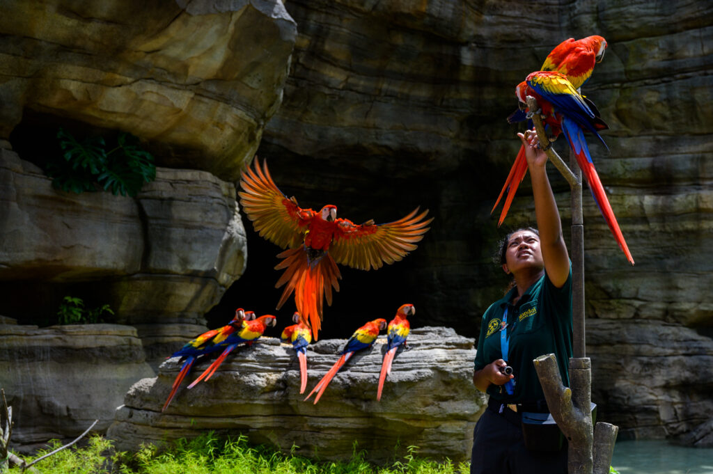 Here's what to expect for the new Bird Paradise